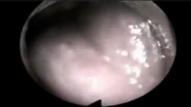 [pornhub]-vaginal cam_filmed from the inside during sex