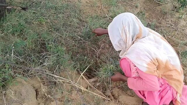 Desi jija sali best indian webseries sex hot hindi audio real