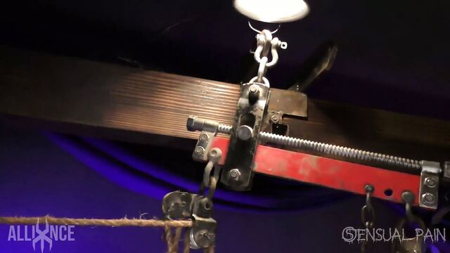 Shaved slave in cage with massive ball gag