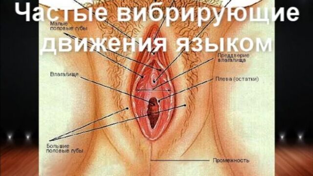 Как правильно делать куни ,оргазм, анальный секс и маструбация