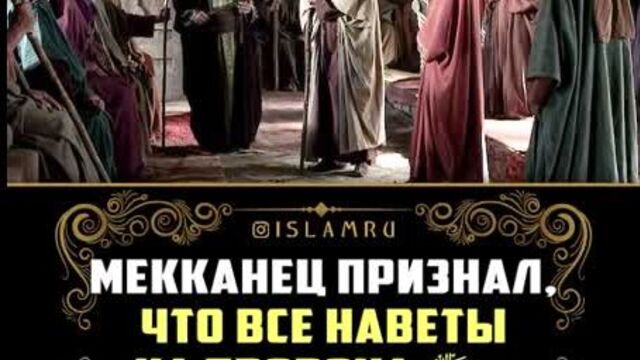 Мекканец признал, что все наветы на пророка ﷺ – ложь