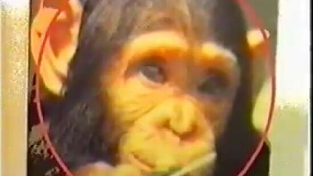 Пророк санбой с новым годом ( клип ) 1996