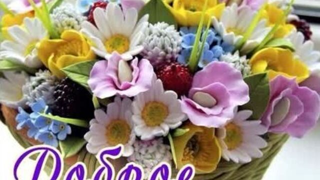 Лето для вас с любовью доброе утро! лето