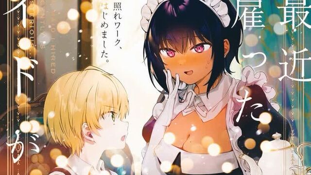 ~моя новая горничная ну очень подозрительна!~[глава 3,4|том 0]