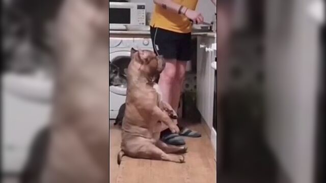 - ну, все, михалыч, я готов, корми! 