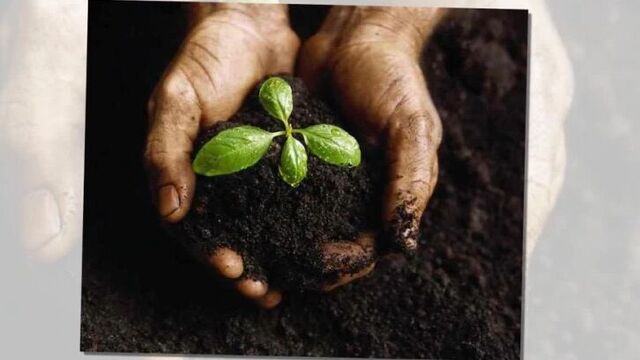 Солженицын. крохотки. лихое зелье