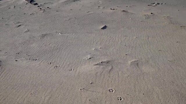 [максим вердикт] как правильно ревновать девушку? (1 трюк)