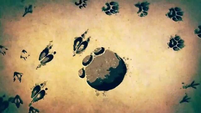 [darvin studio] дружелюбный лисёнок (детеныш рыжей лисы). койот питерсон на русском