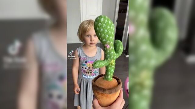Семья кукояки и танцующий кактус. видео из тиктока