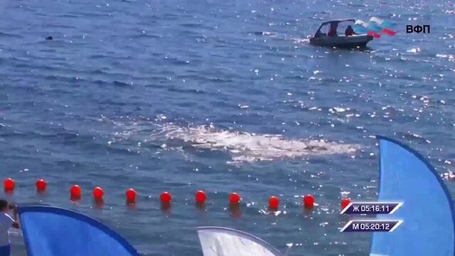 Video by федерация плавания челябинской области.mp4