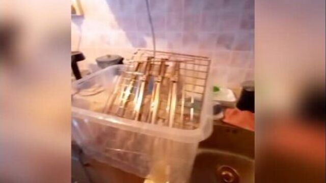 Клининг + химчистка мебели + мытье окон. mp4