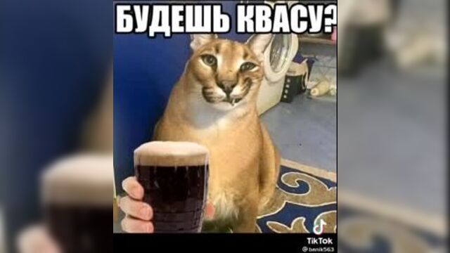 Ямете кудасай