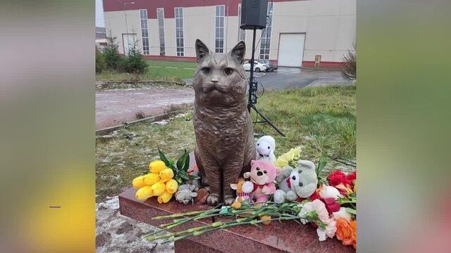 Памятник коту кузе