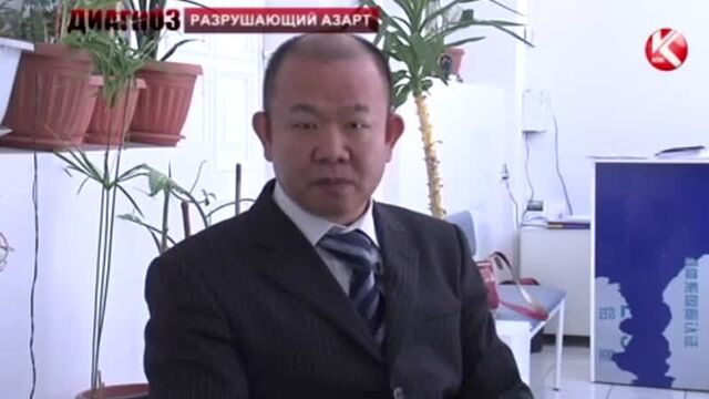 Адель сулейманов на тв