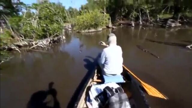 Оператор канала о животных чуть не обделался от страха:)))