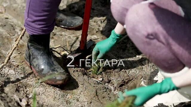 Экологически значимые инициативы doterra евразия