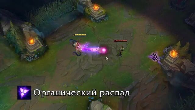 [корпорация призывателей] [гайд: игровой процесс] вел'коз средняя линия/поддержка (актуально для 10.1)