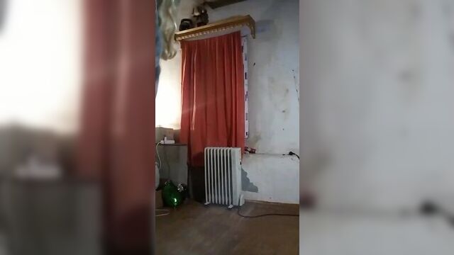 Косплей близняшек из atomic heart | акула