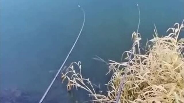 Люблю фидер (480p) (via skyload)