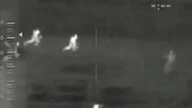 Мутанты в чернобыле разорвали военного