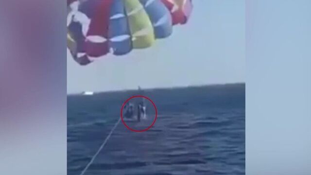 Акула откусила пятку мужчине