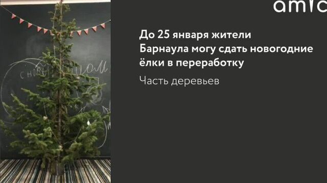 Куда сдать елку на переработку в барнауле