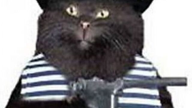 Ogse 0.6.9.3 прохождение, ружье охотника, документы из х-18, 8 серия.