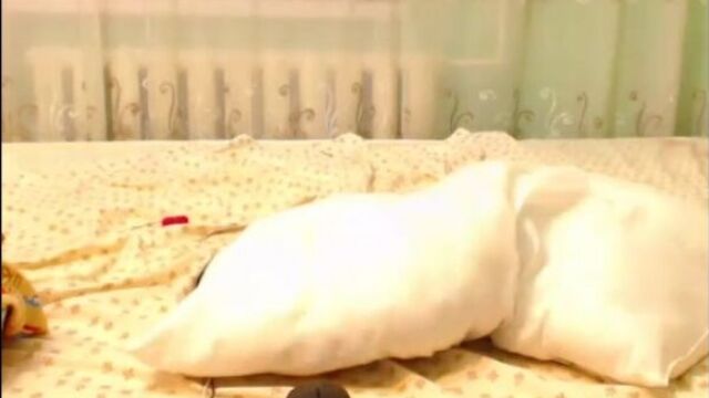 Секс туризм таиланд