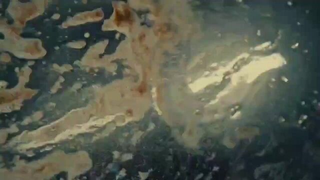 Soda luv – maybach