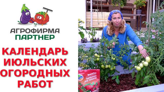 Календарь июльских огородных работ
