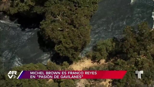 Интервью мишель браун