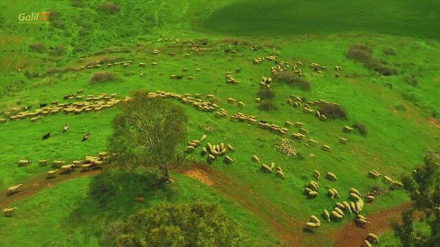 Псалом 90 - живущий под кровом всевышнего