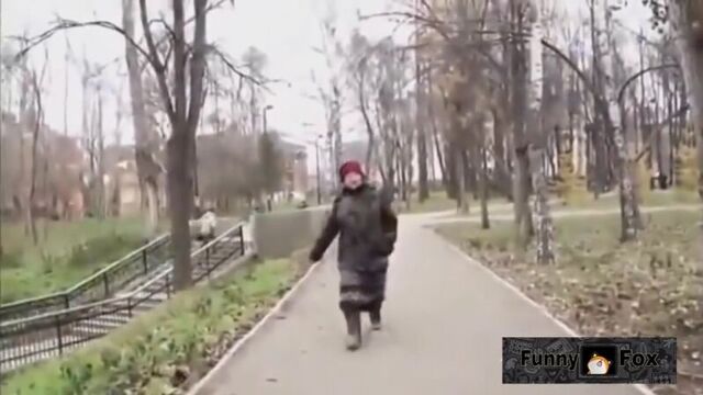 Смешные видео до слез