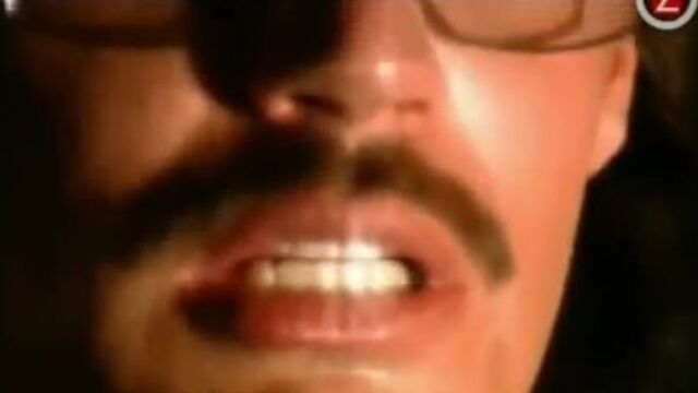 Gunther - ding dong song gunther video (you touch my tralala)