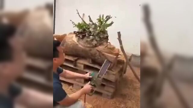 Дракон из полена