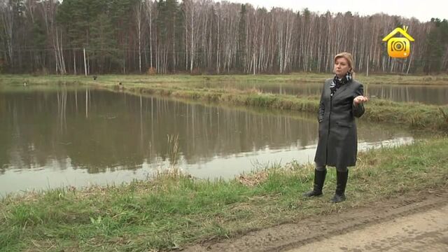 Разведение товарной рыбы. (forumhousetv)