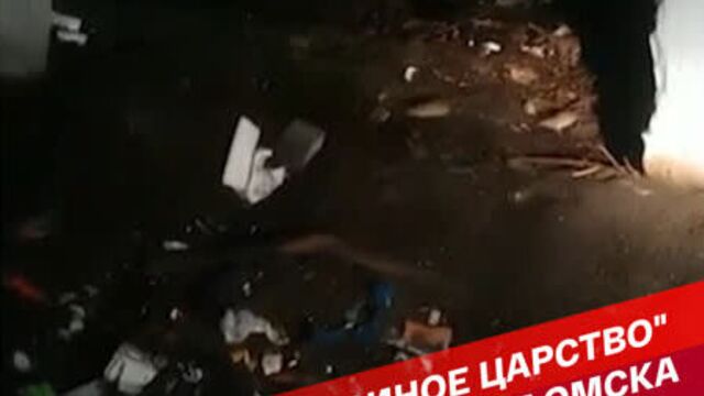 "крысиное царство" в центре омска