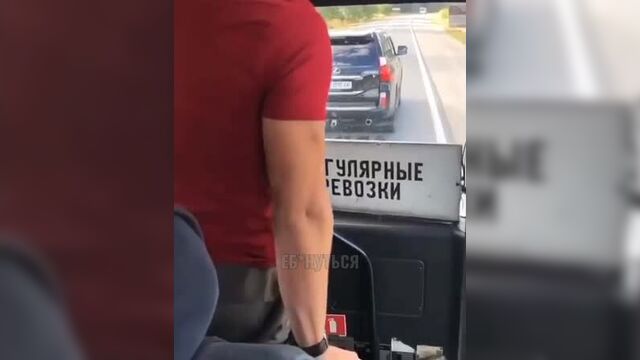 Зря быканул