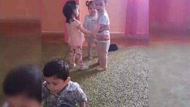 Дочки сыночки. сеть частных детских садов.