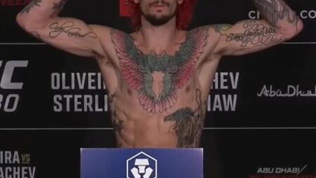 Петр ян и шон о,мэлли сделали вес