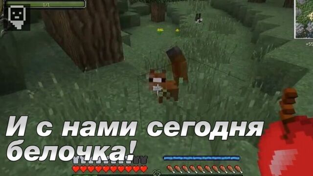 Лазуритный гном - самые смешные моменты #11