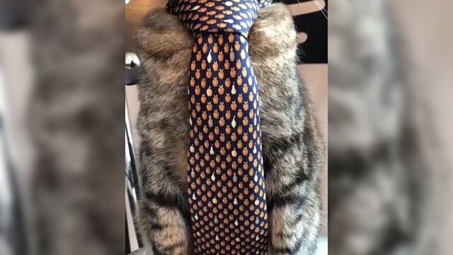 Криминальный авторитет