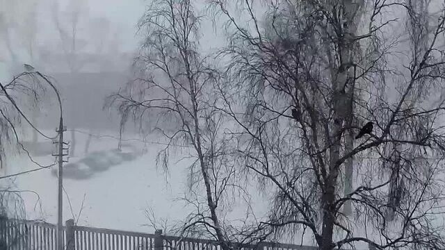 Такая погода сейчас в братске