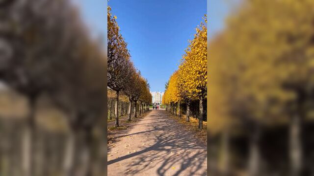 Video by трк академ-парк