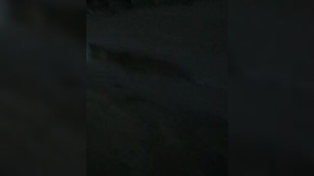 Сплетни г. покров