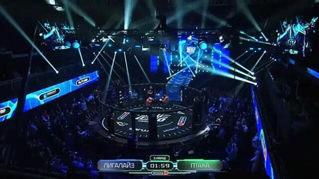 Бой птахи и лигалайза