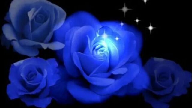 Frequenz - синие розы (ты смеялась надо мной)