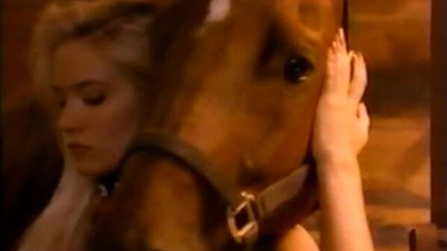 Barbara moore - playboy - playmate profile