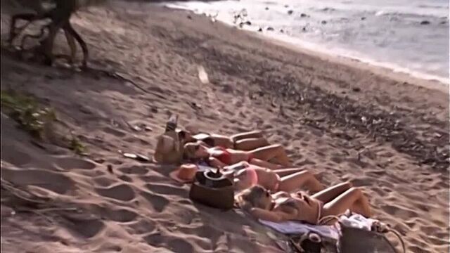 Denise richards - it's complicated